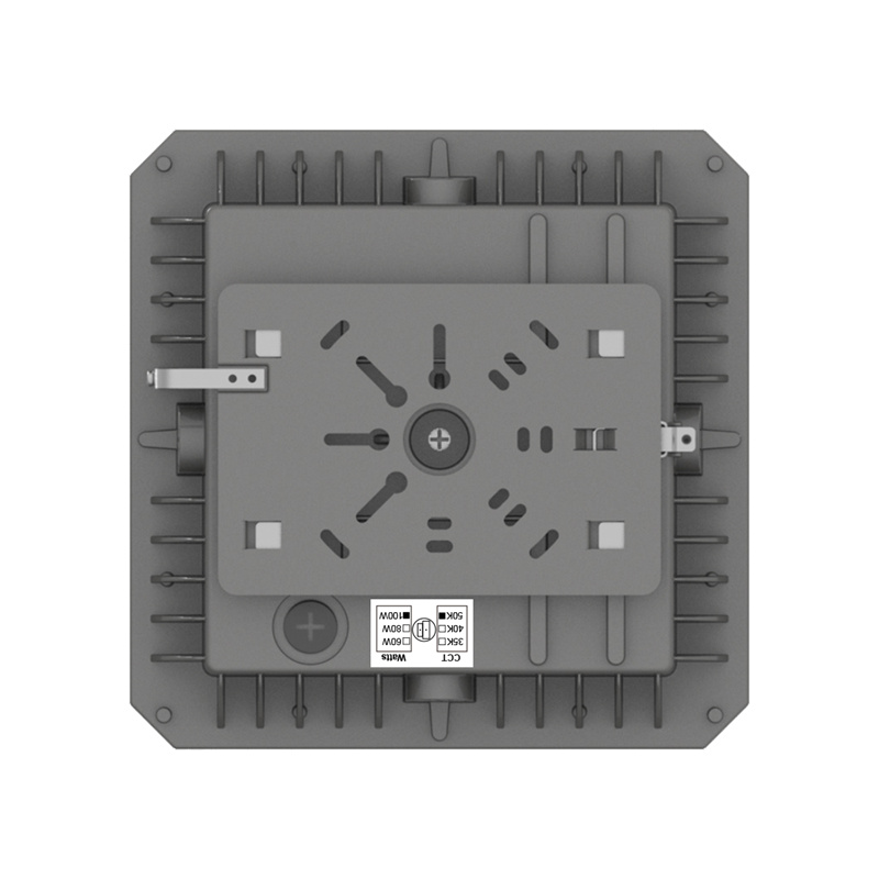 CPSM100 Canopy  Light